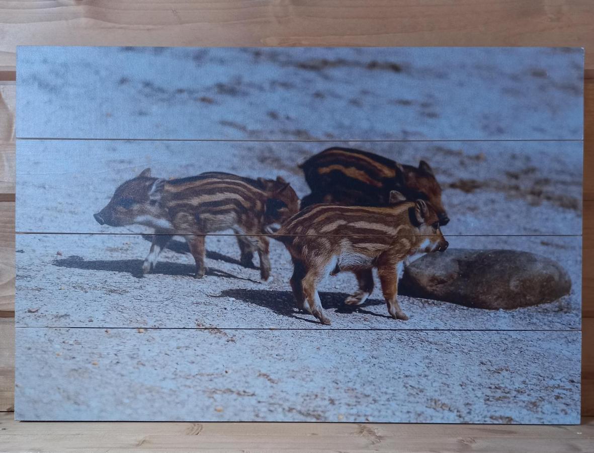'T Zwientje Ermelo Exterior foto