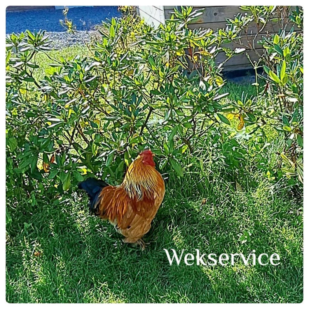 'T Zwientje Ermelo Exterior foto